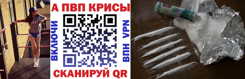 Альфа ПВП СК КРИС  Армавир 