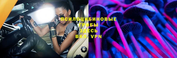 эйфоретик Баксан