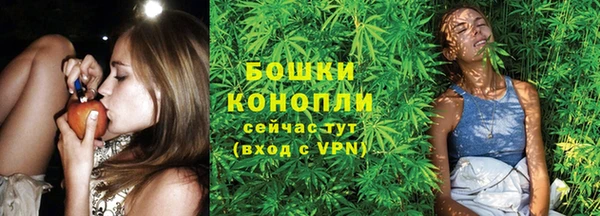 эйфоретик Баксан