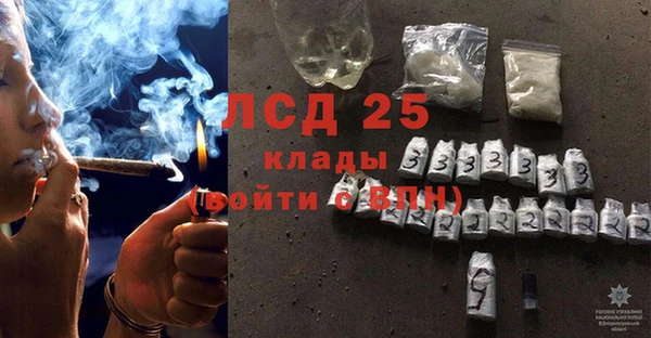 эйфоретик Баксан
