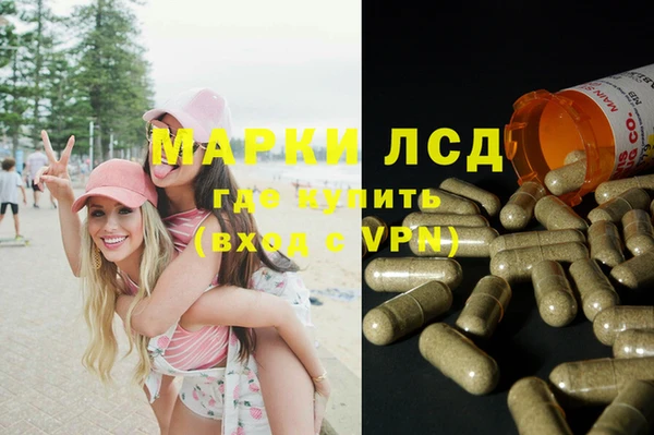 эйфоретик Баксан