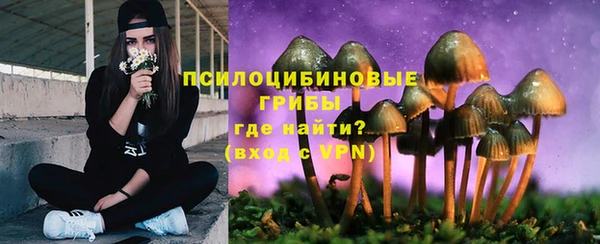 эйфоретик Баксан