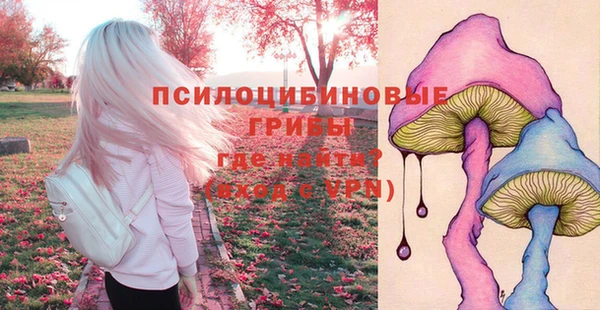эйфоретик Баксан